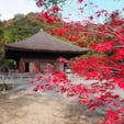 秋の白水阿弥陀堂🍁福島県唯一の国宝建造物だそうです。