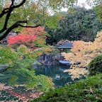 目白庭園

住宅街の中にある小さな日本庭園
静かで落ち着く場所です

#東京
#目白
#紅葉