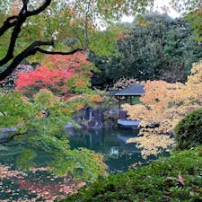 目白庭園

住宅街の中にある小さな日本庭園
静かで落ち着く場所です

#東京
#目白
#紅葉