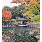 目白庭園

和装ウェディングの写真撮影が行われていました
新婦さんのさす赤い傘と紅葉が綺麗でした

#東京
#目白
#紅葉