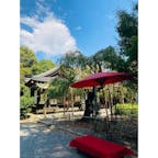 大阪　水無瀬神宮
赤い傘の下で
少し休憩しました