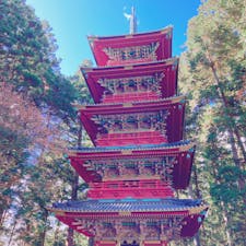 2022年11月 日光東照宮⛩

小学生の修学旅行ぶりに✨
まさに絢爛豪華、特に陽明門！
平日だったけど人がたくさん
さすが全国旅行支援割…

この辺りの紅葉はベストタイミングかも🍁