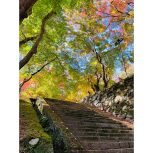 奈良　談山神社
紅葉と緑がきれい
どこを切り取っても
絵になる神社