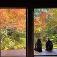 京都　高雄　
そうだ京都、行こうCMの
槙尾山　西明寺
紅葉シーズンでとても美しいです
訪れる価値はあります