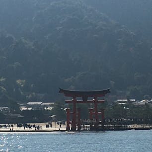 宮島の鳥居⛩が修復を終えて、近くで見ることができます。(11月27日まで)
弥山も天気がよくて多島美が綺麗でした。