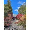 京都　高雄　今年の
そうだ京都、行こう　CMの舞台
高雄山　神護寺
長い長い石段を登ると
山門が見えてきます
今週末も紅葉の見頃でしょうか