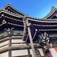京都　頂法寺
六角堂
京都の街中にある
聖徳太子建立のお寺
生け花発祥の地とされています
本堂の形が六角形になっています