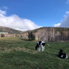 星野リゾートトマム

2022年10月　@北海道