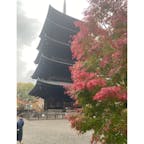 京都　東寺五重の塔(その20)

新幹線の南窓から見えるのが、東寺の五重塔。
仏の都、京都のランドマークタワーです。
その高さは約５５メートル、
木造の建造物としては日本一の高さを誇ります。
五重塔は、仏陀の遺骨を安置するストゥーパが起源とされ、
東寺の五重塔には、弘法大師空海が唐より持ち帰った仏舎利を納めています。

⭐︎鳥羽・伏見の戦い（とば・ふしみのたたかい、慶応4年1月3日〈1868年1月27日〉- 1月6日〈1月30日〉）は、戊辰戦争の初戦の時、指揮官の西郷隆盛は此の東寺の五重の塔の上から指令を出して居ました。

#サント船長の写真　#東寺　#五重塔　#五重塔22  #日本の世界遺産　#京都の五重塔