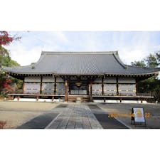 御室仁和寺　金堂
　仁和寺の金堂は、寛永年間（１６２４年-１６４４年）に御所内裏の正殿「紫宸殿」（ししんでん）が移築された建物（国宝）。
　移築された紫宸殿は、１６１３年（慶長１８年）の建立。
　仁和寺金堂が現存する最古の紫宸殿となり、宮殿建築を伝える重要な遺構となっている。
　本尊は阿弥陀三尊で、金堂移築時に造立されたもの。
　もと金堂に安置されていたといわれ、現在は霊宝館に安置されている木造阿弥陀三尊像は、８８８年（仁和４年）に仁和寺が創建されたときの本尊と考えられている（国宝）。

#サント船長の写真　#仁和寺　#日本の世界遺産