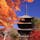 御室仁和寺　五重の塔(その18)

日本に現存する主要な五重塔は55基に上るが、その中でも22塔を紹介して行きます。その中でも、もっとも多くの人の目に触れているのは、仁和寺の五重塔だろう。京都市右京区御室（おむろ）にある仁和寺に直接足を運ばなくても、映画やテレビなどの時代劇に、仁和寺の五重塔が頻繁に登場するからである。「時代劇に出てくる五重塔の大半は、仁和寺の五重塔」といっても、過言ではないぐらいだ。
これほど多く映像で扱われているのは、仁和寺の五重塔が、「下層から上層に至る各層の屋根の大きさがほぼ同一」であるなど、江戸期の五重塔の様式特徴を、わかりやすい形で備えているからだ。江戸期の時代感を演出する上で、恰好（かっこう）の素材なのである。

法隆寺の五重塔に代表されるように、古い時代の五重塔は、上層になるほど屋根のサイズが小さくなる。そうした五重塔では時代感の違いが見えてしまい、泰平下で町人文化が花開いた江戸時代の雰囲気が出ないのだ。
加えて、仁和寺では広大な境内に様々な伽藍（がらん）や建物が配置され、景観変化も多様なので、ロケ・スポットが数多く存在する。

#サント船長の写真　#仁和寺　#五重塔　#五重塔22 #京都の五重塔　
#日本の世界遺産　#時代劇の聖地