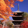 御室仁和寺　五重の塔(その18)

日本に現存する主要な五重塔は55基に上るが、その中でも22塔を紹介して行きます。その中でも、もっとも多くの人の目に触れているのは、仁和寺の五重塔だろう。京都市右京区御室（おむろ）にある仁和寺に直接足を運ばなくても、映画やテレビなどの時代劇に、仁和寺の五重塔が頻繁に登場するからである。「時代劇に出てくる五重塔の大半は、仁和寺の五重塔」といっても、過言ではないぐらいだ。
これほど多く映像で扱われているのは、仁和寺の五重塔が、「下層から上層に至る各層の屋根の大きさがほぼ同一」であるなど、江戸期の五重塔の様式特徴を、わかりやすい形で備えているからだ。江戸期の時代感を演出する上で、恰好（かっこう）の素材なのである。

法隆寺の五重塔に代表されるように、古い時代の五重塔は、上層になるほど屋根のサイズが小さくなる。そうした五重塔では時代感の違いが見えてしまい、泰平下で町人文化が花開いた江戸時代の雰囲気が出ないのだ。
加えて、仁和寺では広大な境内に様々な伽藍（がらん）や建物が配置され、景観変化も多様なので、ロケ・スポットが数多く存在する。

#サント船長の写真　#仁和寺　#五重塔　#五重塔22 #京都の五重塔
#日本の世界遺産