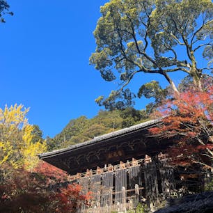 兵庫県姫路市
書写山圓教寺
2022/11/25(金)
紅葉🍁色あせ始めでしたが、人が少なくゆっくりと参拝できました。