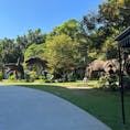 サムットプラカーン市の展望台公園
恐竜🦖がたくさん