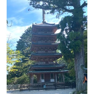 海住山寺の五重塔(その18)
海住山寺（かいじゅうせんじ）は、京都府木津川市加茂町例幣海住山にある真言宗智山派の寺院。山号は補陀洛山（ふだらくさん）。本尊は十一面観音。かつて恭仁京があった瓶原（みかのはら）を見下ろす三上山（海住山）中腹に位置する。奈良時代の創建を伝え、鎌倉時代に貞慶によって中興された。国宝の五重塔で知られる。仏塔古寺十八尊第3番札所。
京都には五基の五重塔がありますが、此の塔が一番低くて17.7mですが国宝です。因みに東寺は54.8m・八坂は46m・醍醐寺は38m・仁和寺32.7mです。東寺は日本で一番高く世界遺産、醍醐寺と仁和寺も世界遺産ですね。

#サント船長の写真　#五重塔
#五重塔22 #京都の五重塔