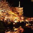京都
東寺
風もなく穏やかな日でしたので、ライトアップされた紅葉が水面に映り、幻想的でした。