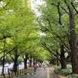 神宮外苑のイチョウ並木
念願の場所〜❤️
#202210 #s東京