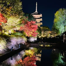 京都
東寺　ライトアップ