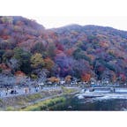 京都
嵐山
渡月橋は大変な人混みで、歩きながらの一枚となりました。