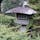 勧修寺の水戸光圀の灯籠
水戸光圀さんは余程財力が有ったのでしょうね、東寺の五重塔を始め京都のお寺を建てたり再建をされて居ますね。

一度光圀さんの関係するお寺を見聞したいですね♪

「京都に来たら灯籠を見てとうろう」は多分、此処の住職の遊び心でしようね😅

#サント船長の写真