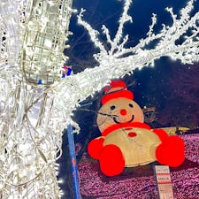 相模湖
さがみ湖イルミリオン