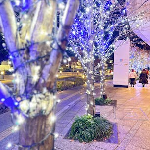 イルミネーション
スカイツリー