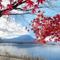📍山梨県 河口湖
紅葉と富士山🍁🗻
