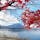 📍山梨県 河口湖
紅葉と富士山🍁🗻