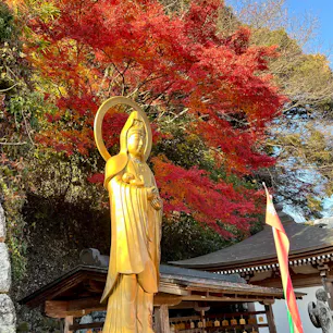 長谷寺へ行ってきました