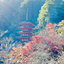 長谷寺の五重の塔