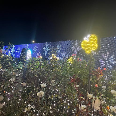 あしかがフラワーパーク「光の花の庭」