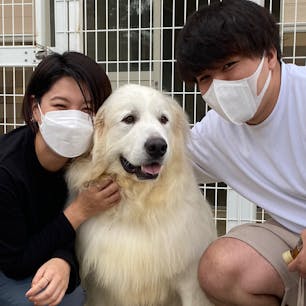 2022.10.8 
つくばわんわんランド🐕🐩🦮🐕‍🦺
可愛くて珍しいワンちゃんもいて飼いたさ増し増し😚❤️