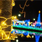 奈良　天理駅ちかくの公園イルミ

#奈良#天理#イルミネーション