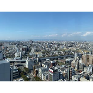 堺市役所
#202210 #s大阪