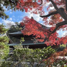 2022.12.9

◉建長寺（鎌倉五山第一位）
紅葉終盤

◉鎌倉 半僧坊
登る階段に落ちたイチョウは素敵でした。
眺めの良い半僧坊には天狗像が祀られています。