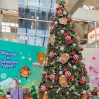【松山空港】

みきゃんちゃんのクリスマスツリーが可愛かった🎄

みかんジュースタワーも可愛かった🍊


2022.11.30