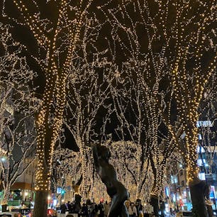 今年は予算不足で開催期間が短いらしいSENDAI光のページェント、明日で終わるようです🎄このあったかい色合いのイルミネーションが好きです。