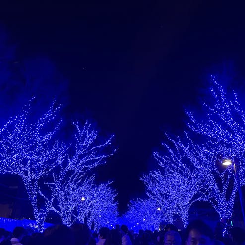 青の洞窟 SHIBUYA(渋谷公園通り〜代々木公園)