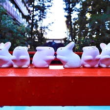京都
東天王　岡﨑神社
良縁・安産のご利益がある兎神社として有名です。
2023年が穏やかで明るく素敵な年でありますように^_^