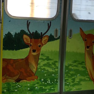近鉄奈良線のラッピング車両。
外側は撮れなかったけど、
車内は鹿🦌奈良の風景画で飾られていました。吊り革にも鹿が。ザ、奈良て感じでした。