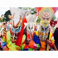 🇹🇭タイ ルーイ県
ピーターコーン祭り、精霊のパレード。