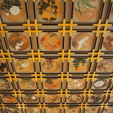 永平寺の傘松閣の天井画。広間の天井になんと230枚もの日本画が描かれています🎨この中から特定の5枚の絵を見つけると願いが叶うと言われているということを、行った後で知りました……。天井画なので、じっくり眺めようと思うと首がもう大変です。
#福井 #永平寺