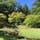 現存する唯一の平安庭園、平泉 毛越寺 ここが曲水の宴の舞台になるそうです！