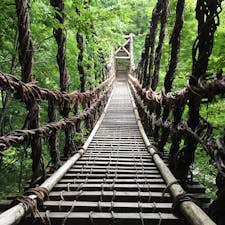 奥祖谷二重かずら橋。男橋、女橋、野猿（籠みたいなゴンドラみたいなもの）で向こう岸に行けます。水上アスレチック感覚。