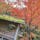 円通院
2ヶ月前だけど宮城県松島の円通院。紅葉が綺麗でした。