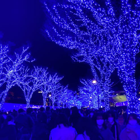青の洞窟 SHIBUYA(渋谷公園通り〜代々木公園)