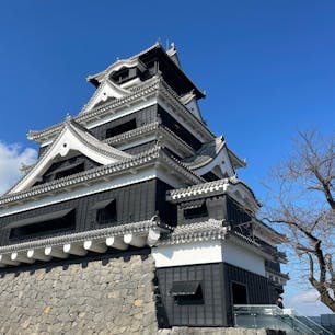 熊本城🏯
青空にそびえ立つお城が絵のようでした✨