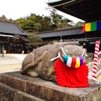 茨城県の村松山虚空蔵堂。

会津、伊勢と並ぶ日本三体虚空蔵尊のお寺で知恵を授ける神様とされています。