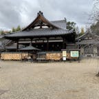 桜井市の安倍文殊院は、645年に創建された歴史ある寺院。文殊菩薩をご本尊としており、合格祈願に訪れる受験生も多い。境内では春の桜、秋のコスモスのほか、冬から春には、その年の干支をパンジーで描いた「ジャンボ干支花絵」も見られる。