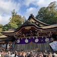 新年の初詣は、桜井市の大神神社へ。参拝者も多く、屋台も出ていました。